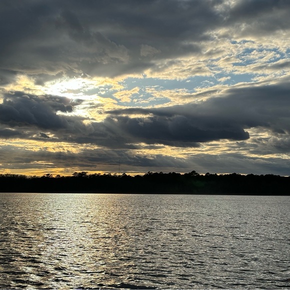 Meet your Posher, Evelyn - Picture 1 of 2